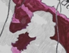 pro.262.thumb1.webp